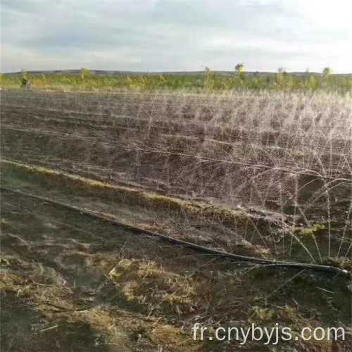 Tuyau de pulvérisation de légumes à sept trous